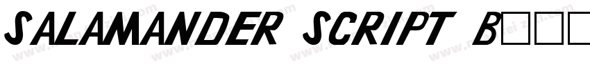 Salamander Script B字体转换